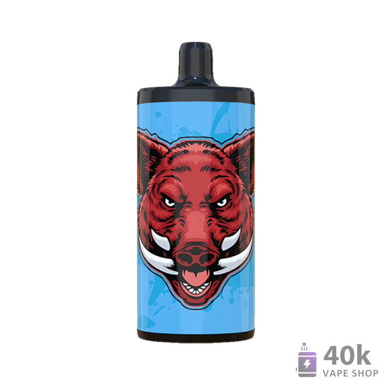 Vapsolo King 10000 Puffs Disposable Vape - 2% Nicotine, 20ML E-Liquid - 画像3