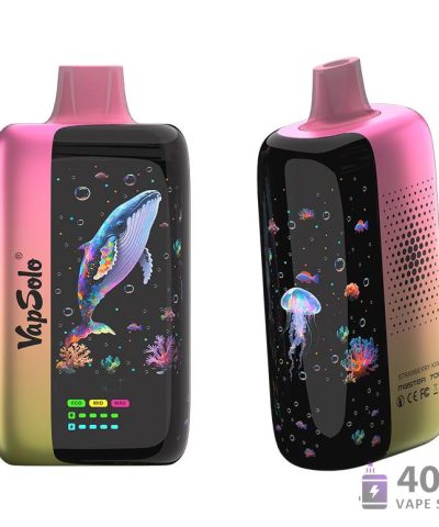 Vapsolo Master 70K Vape jetable - 70 000 bouffées, Dual Mesh Coil, Rechargeable