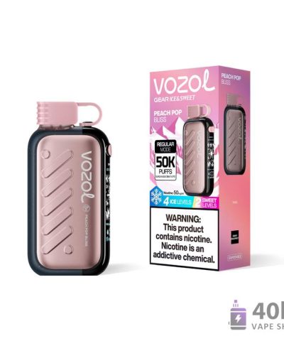 Vozol Rave 50000 Vape jetable - 50 000 bouffées, style et longévité