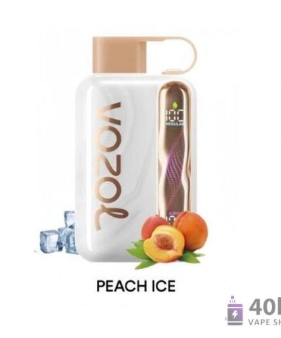 Vozol STAR 40000 Vape jetable - 40 000 bouffées, rechargeable, deux modes