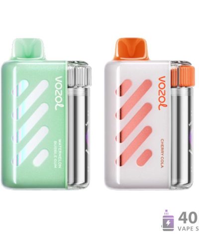 VOZOL VISTA 40000 Vape jetable - 40K bouffées, 1000mAh rechargeable